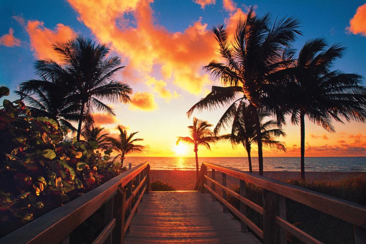 Luxury Private Beach Water-Side Ocean Baby Escape!! Appartement Pompano Beach Buitenkant foto